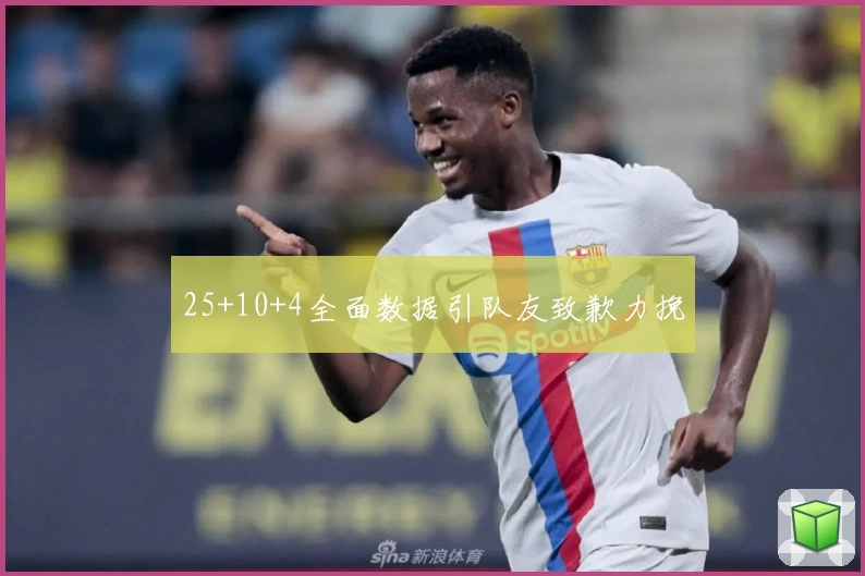 25+10+4全面数据引队友致歉力挽